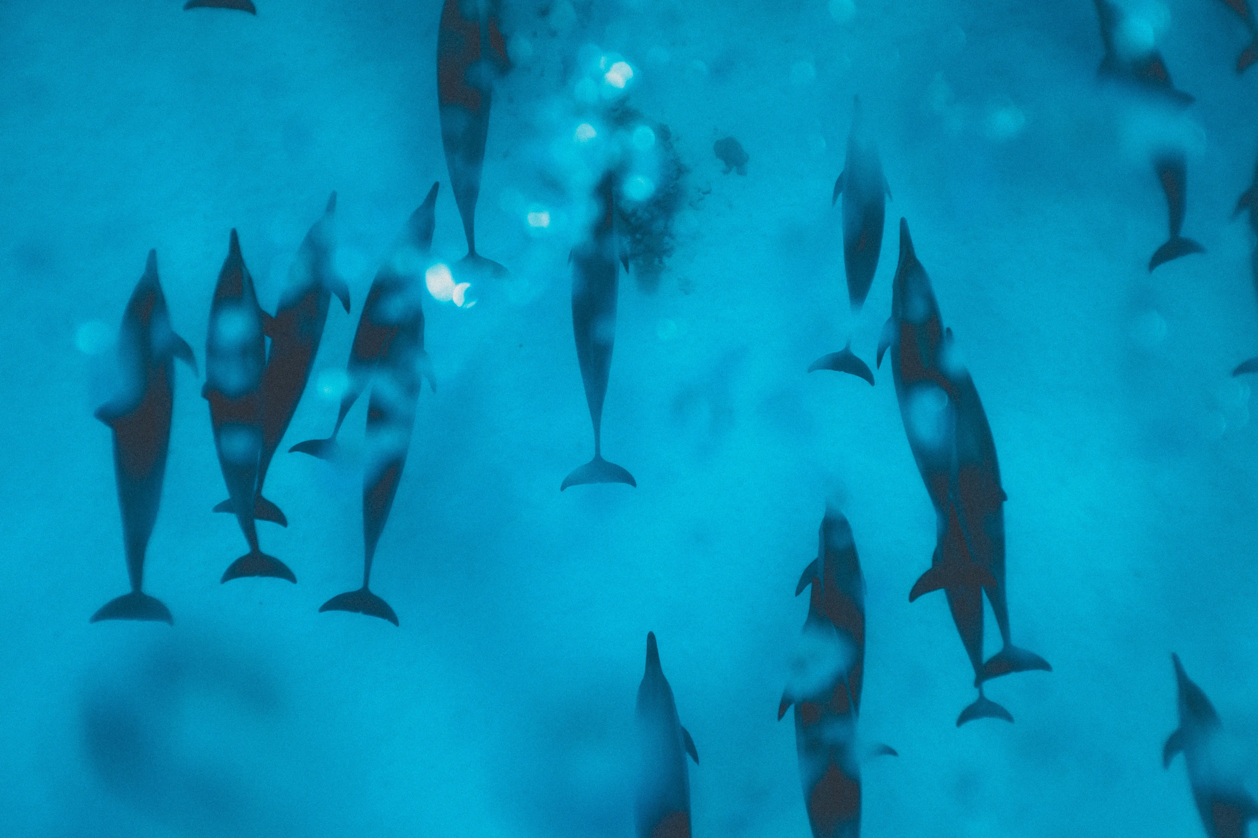 image to support text