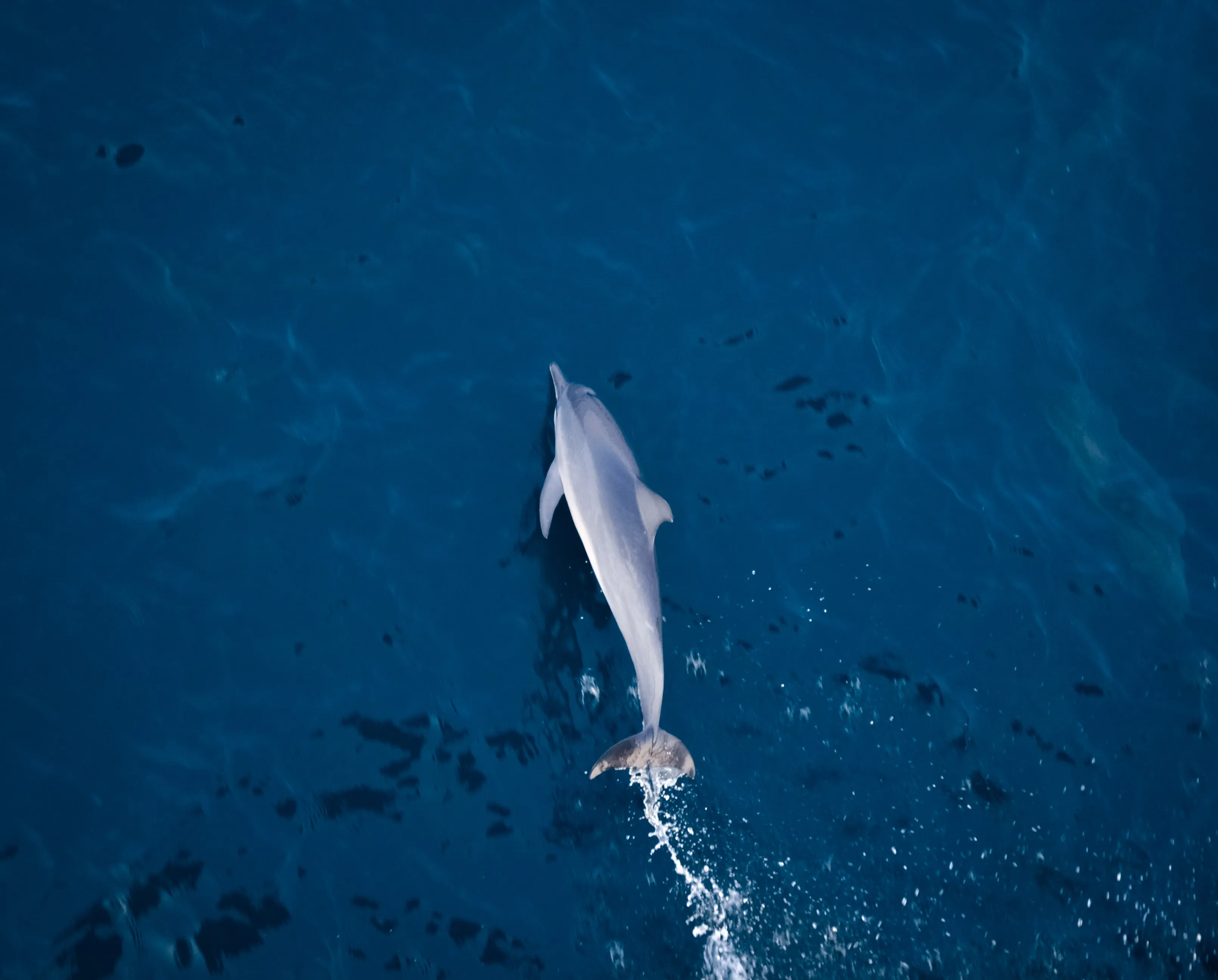 image to support text